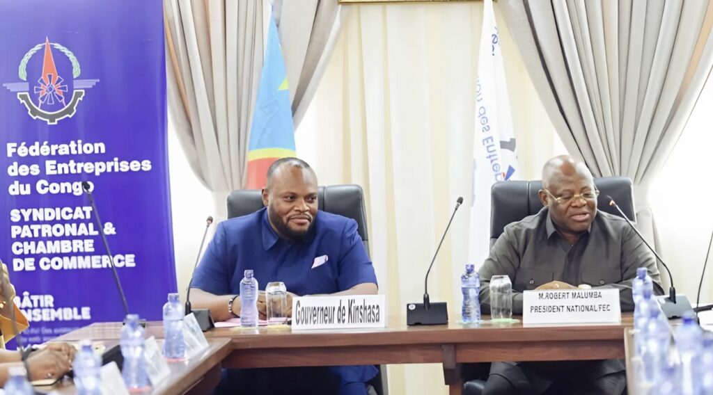 Kinshasa mise sur le secteur privé pour booster son économie verte.