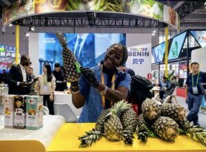 L’ananas béninois conquiert la Chine : un nouveau pont aérien pour le commerce agricole sino-africain